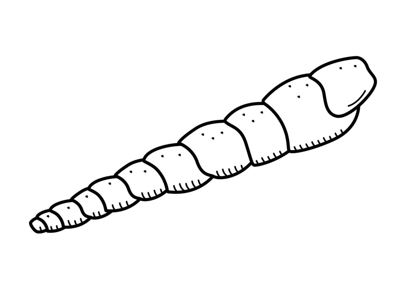 concha, aislado único sobre un fondo blanco. ilustración vectorial de un boceto de garabato de concha. vector