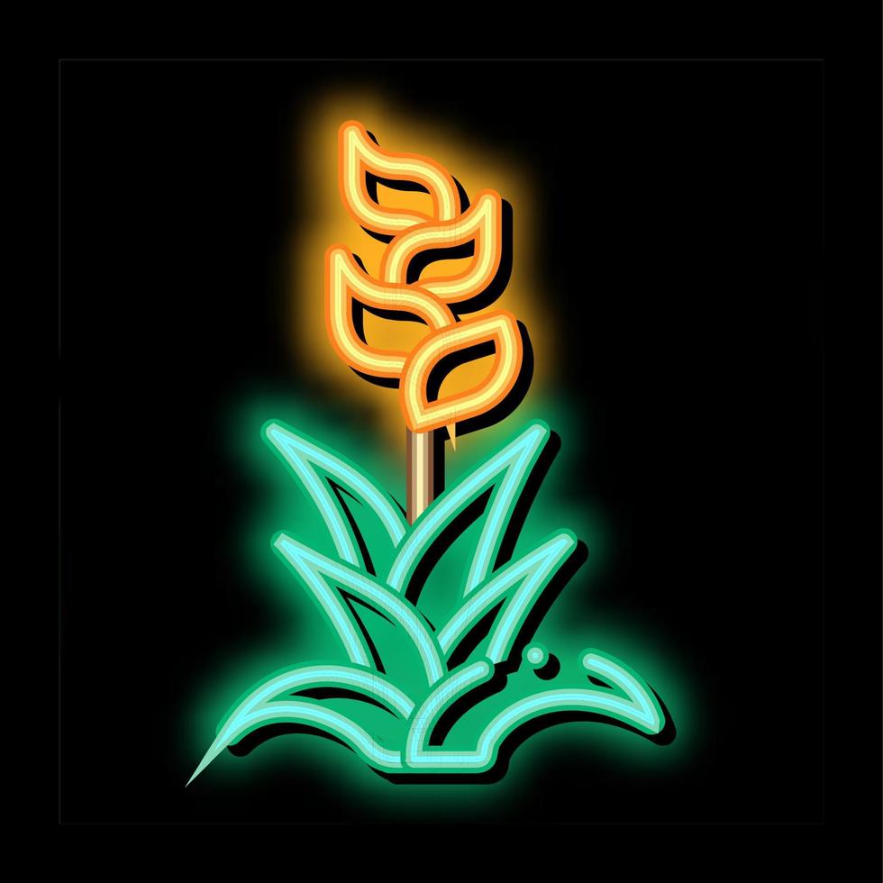 exotic flower neon glow icon illustration vector