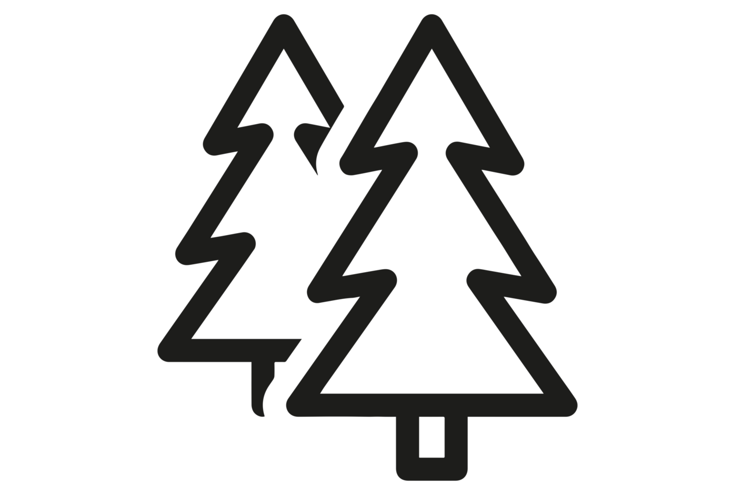 pine tree on transparent background png