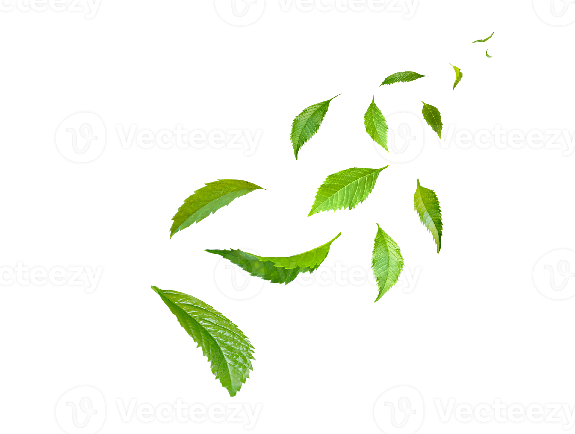 Green Floating Leaves Flying Leaves Green Leaf Dancing, Air Purifier