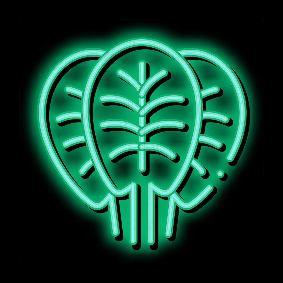 ilustración de icono de resplandor de neón de hojas de espinaca vector