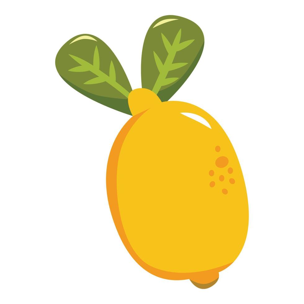 lemon vector illustration for your design element