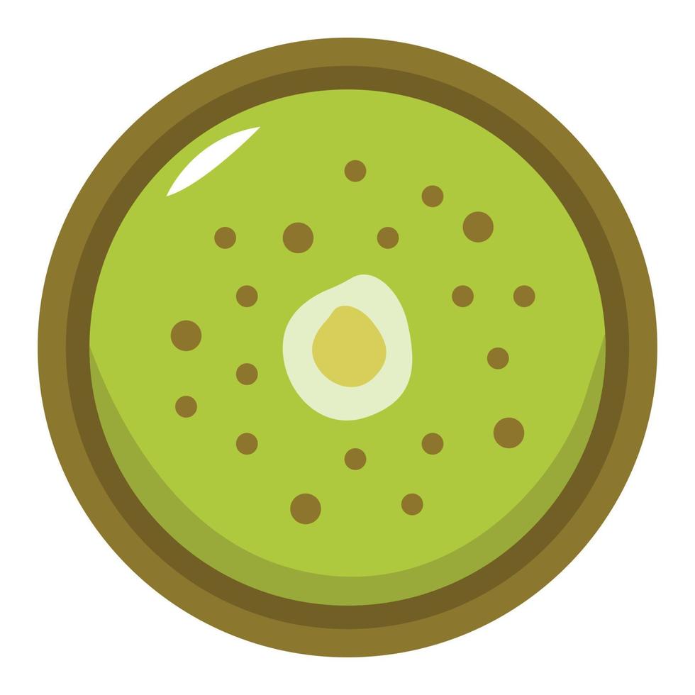 kiwi vector illustration for your design element