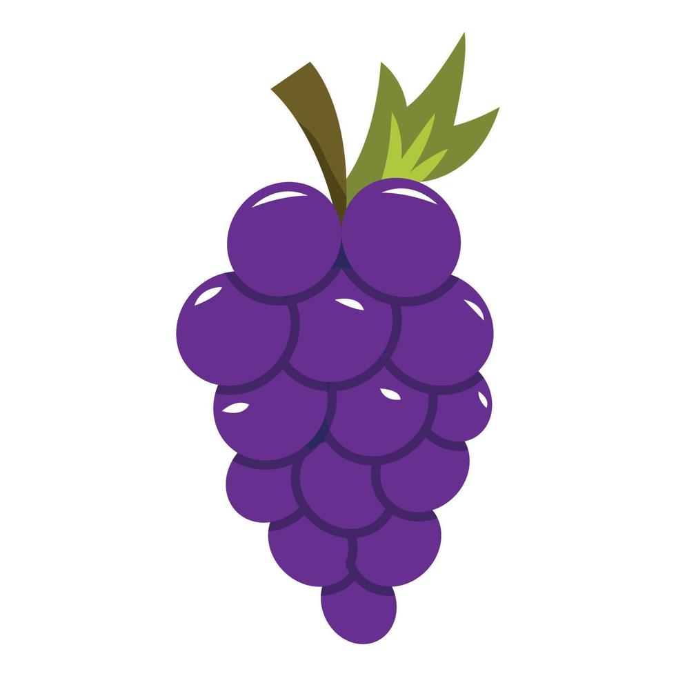 grapes vector illustration for your design element