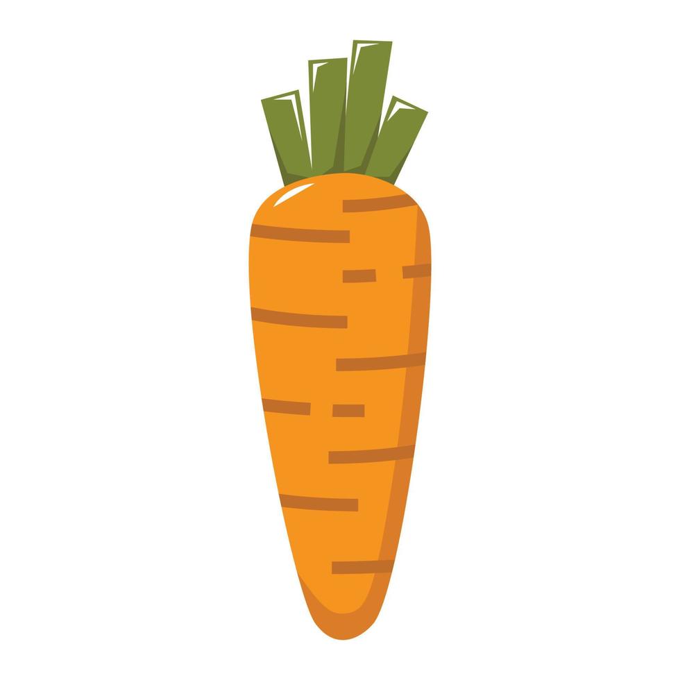 ilustración de vector de zanahoria para su elemento de diseño