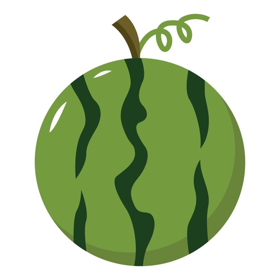 watermelon vector illustration for your design element