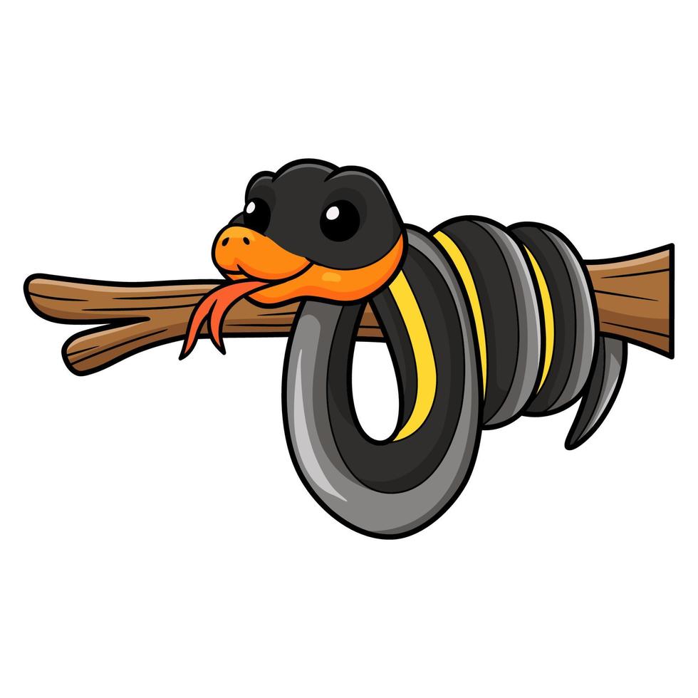 Cute black copper rat snake cartoon vector