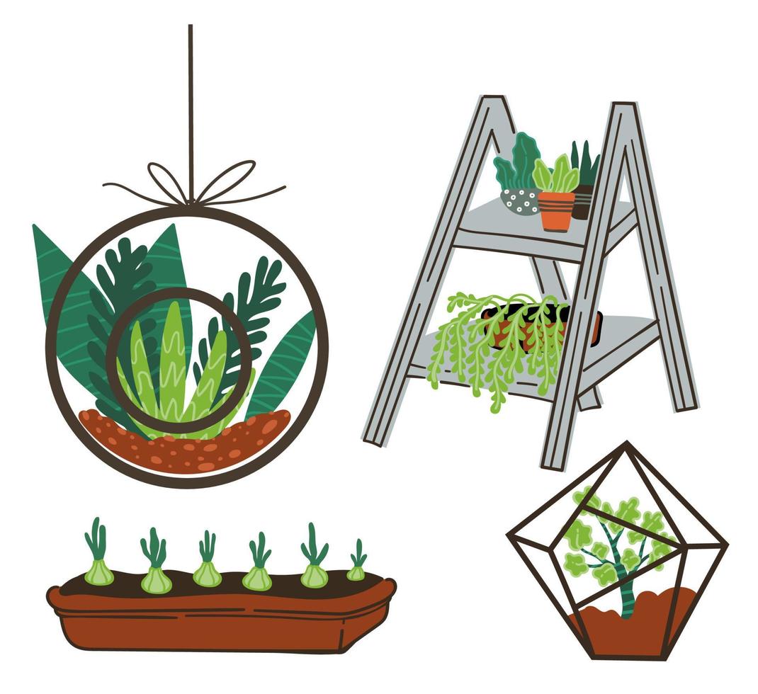 Succulents and flowers in terrariums and pots vector