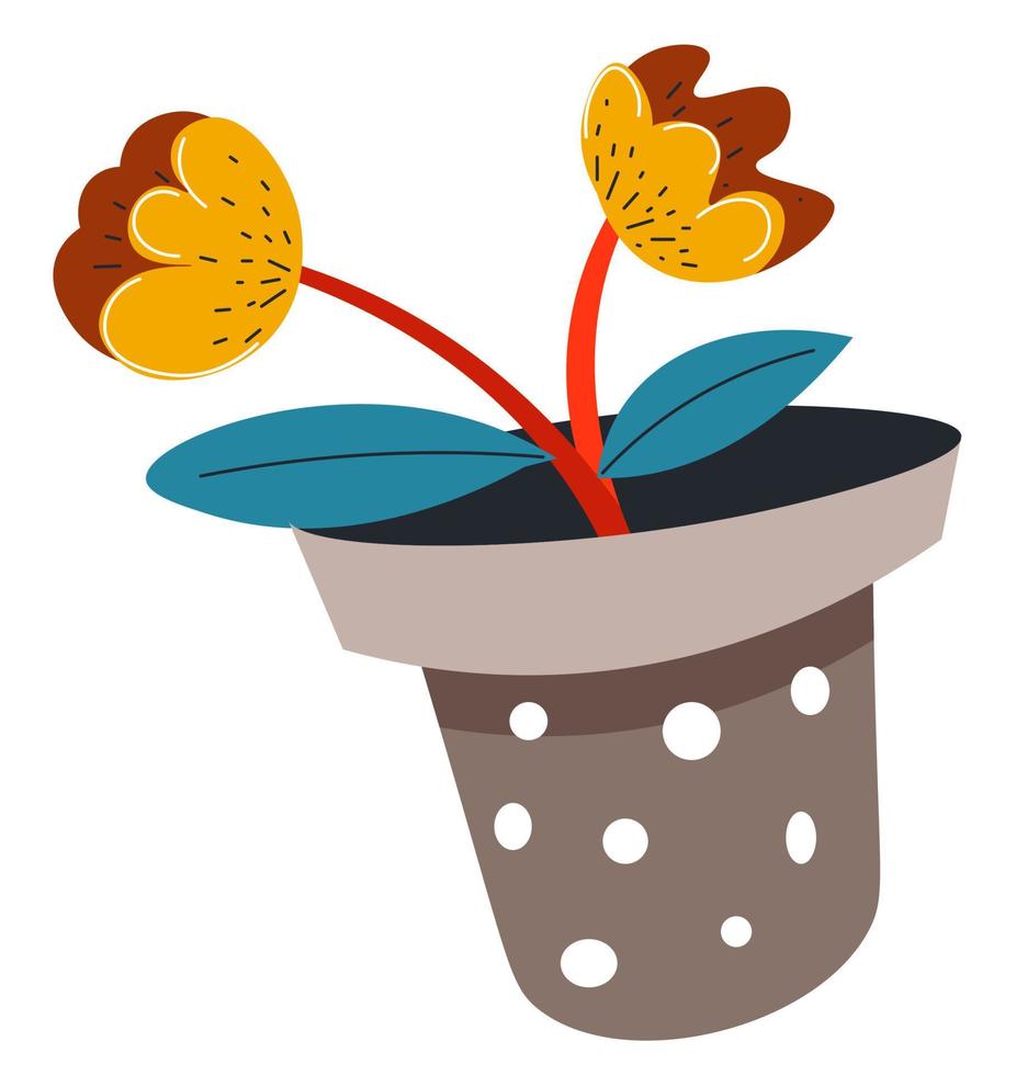 Flower growing in pot, potted plant with flora vector