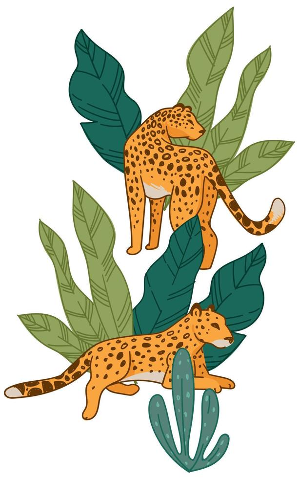 leopardo tendido y escondido en el follaje verde de los trópicos vector