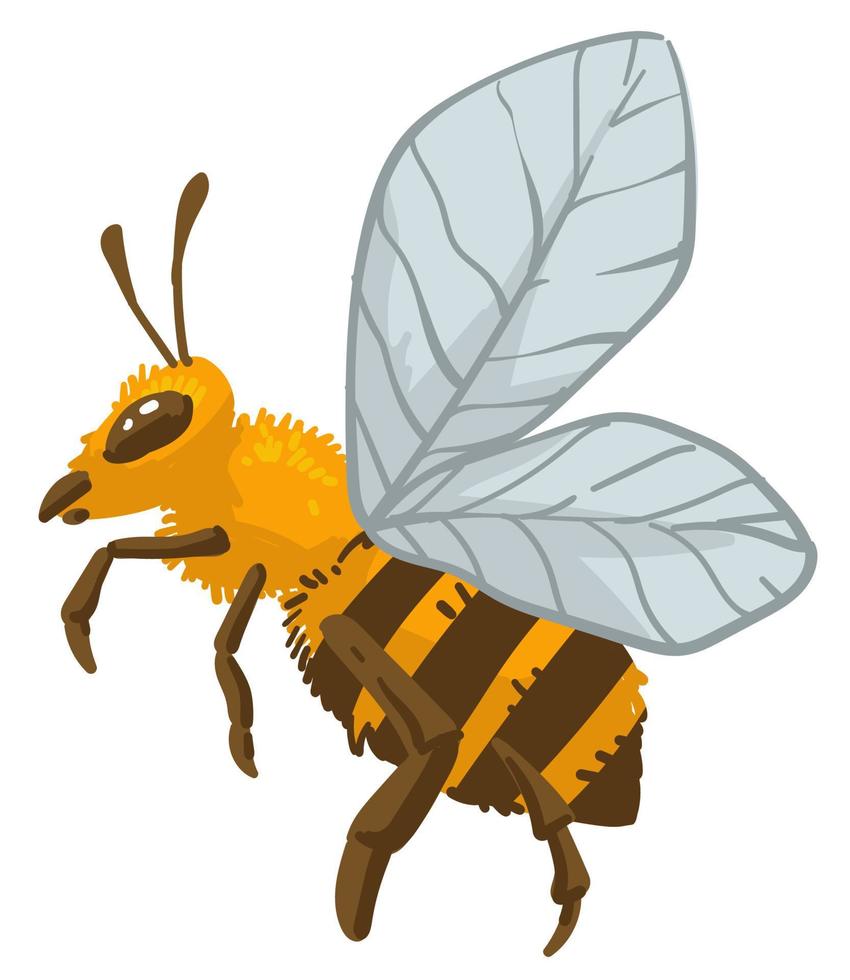 insecto de abeja, vida silvestre de abejorro y vector de animales