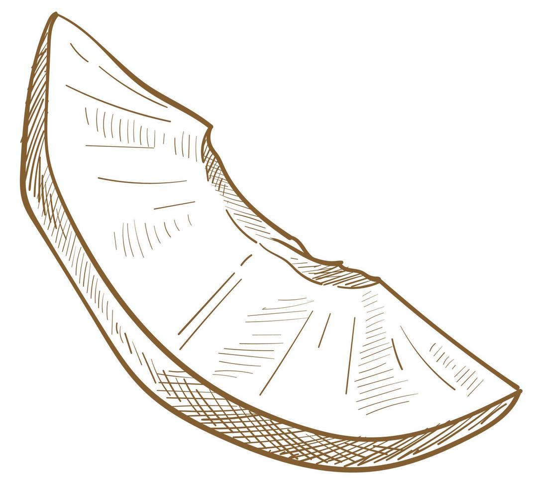 Slice of apricot, nectarine or ripe peach fruit vector
