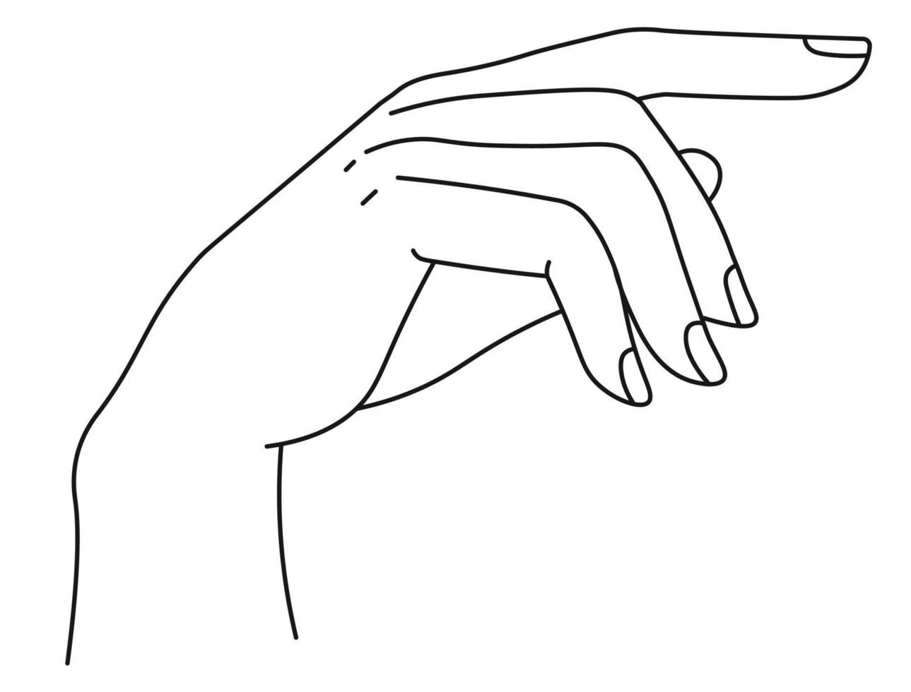 mano elegante con dedos, línea de palma minimalista vector