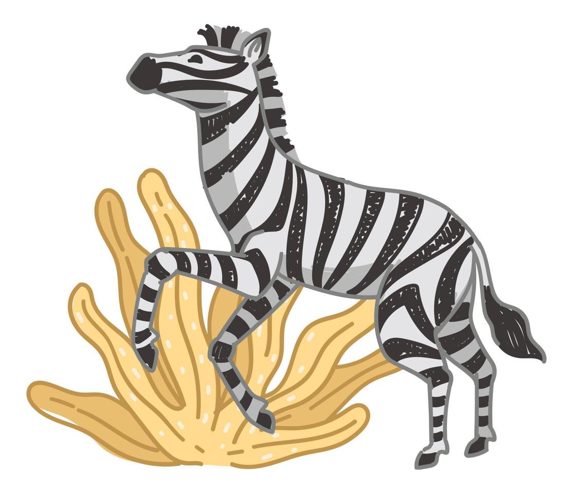 Zebra on field, mammal with stripped fur on coat vector