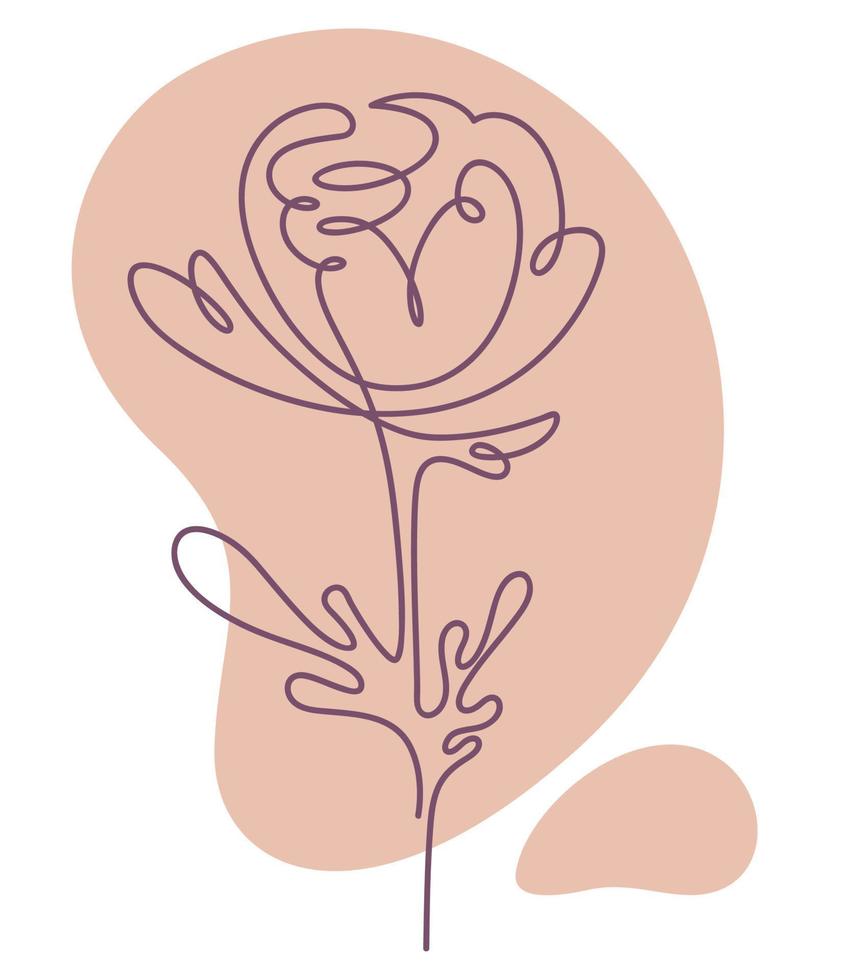 Minimalist flower line art, floral composition vector