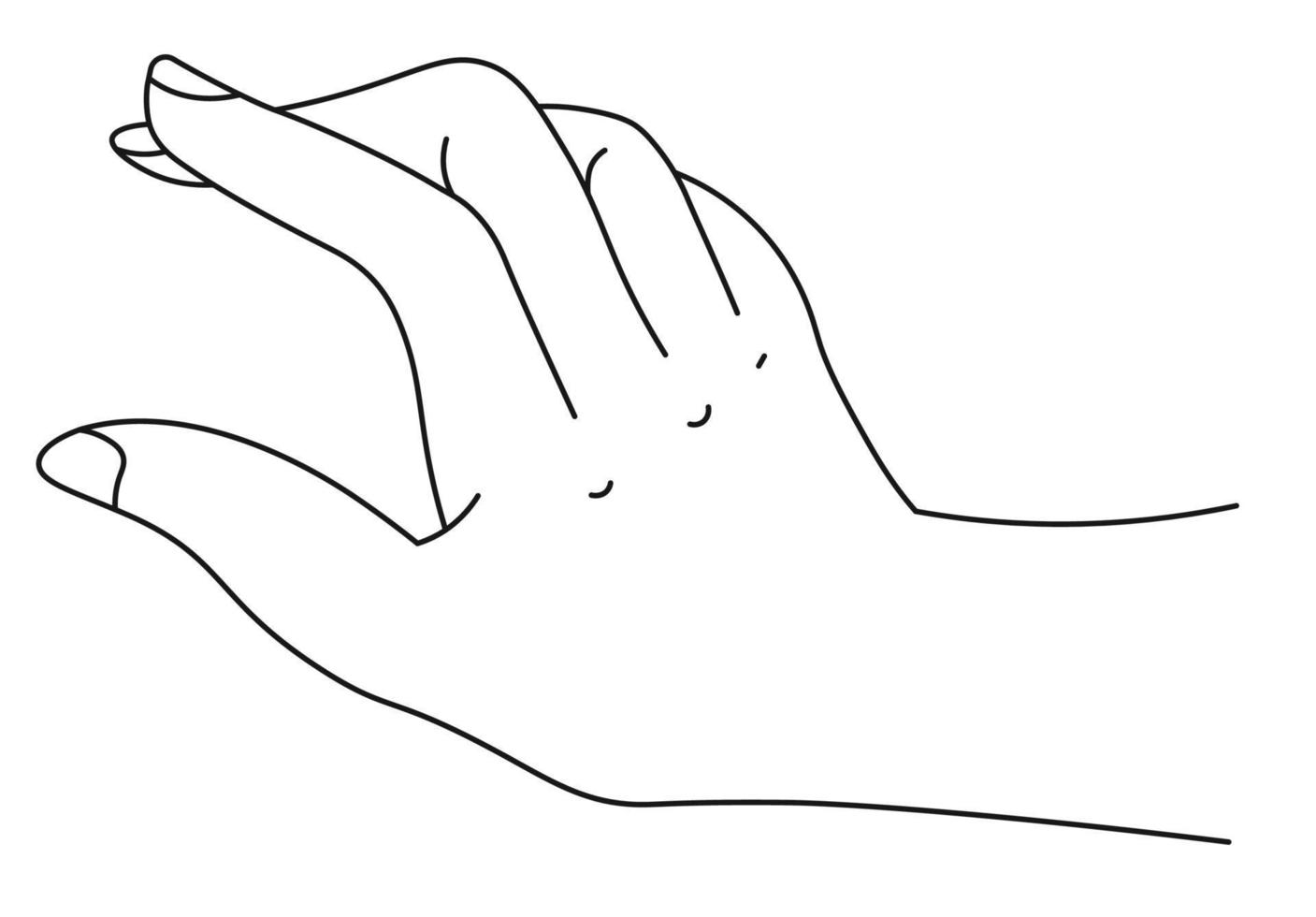 Hand of man or woman, elegant palm and fingers vector