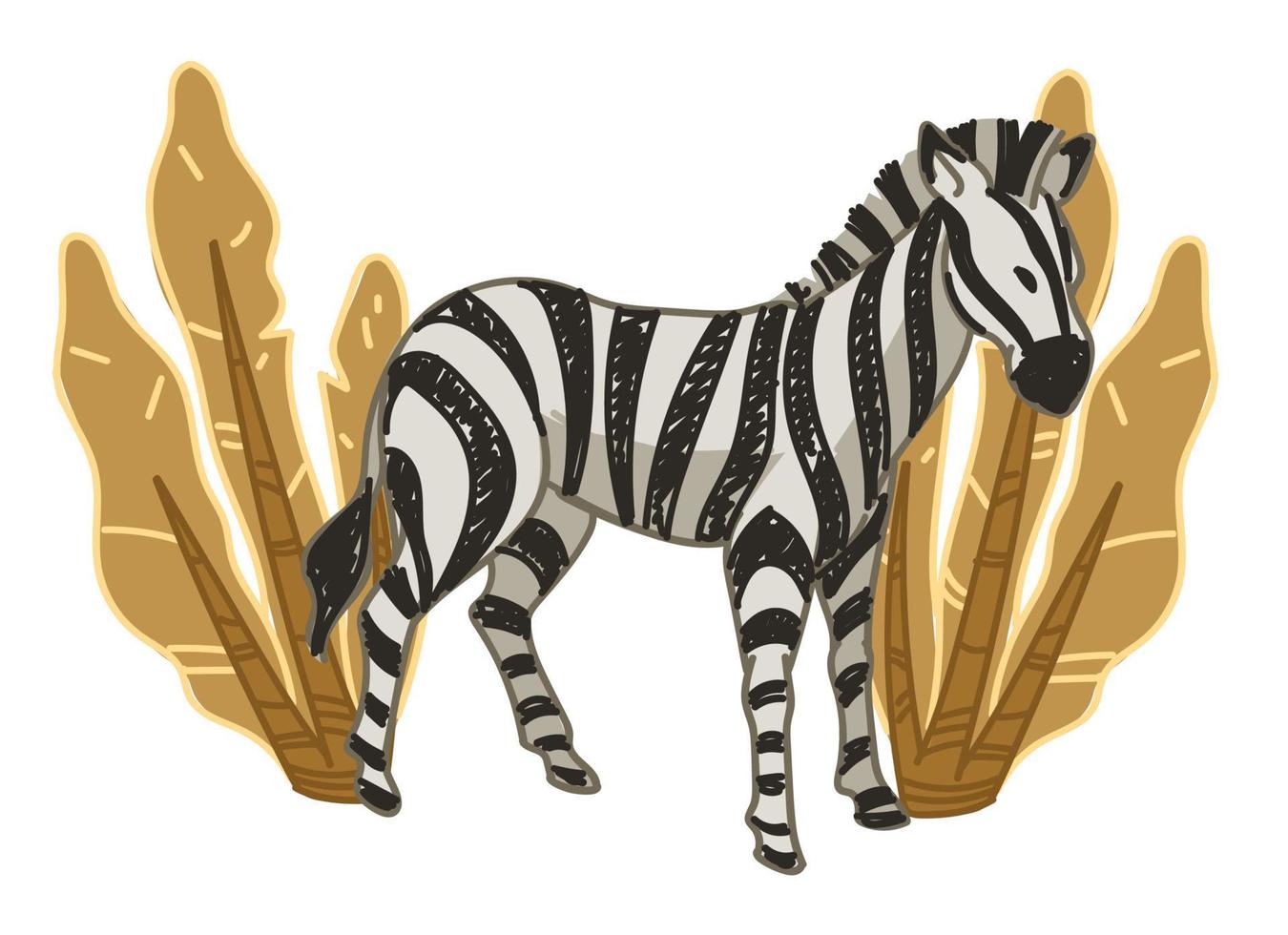 Wildlife flora and fauna, zebra and bushes vector