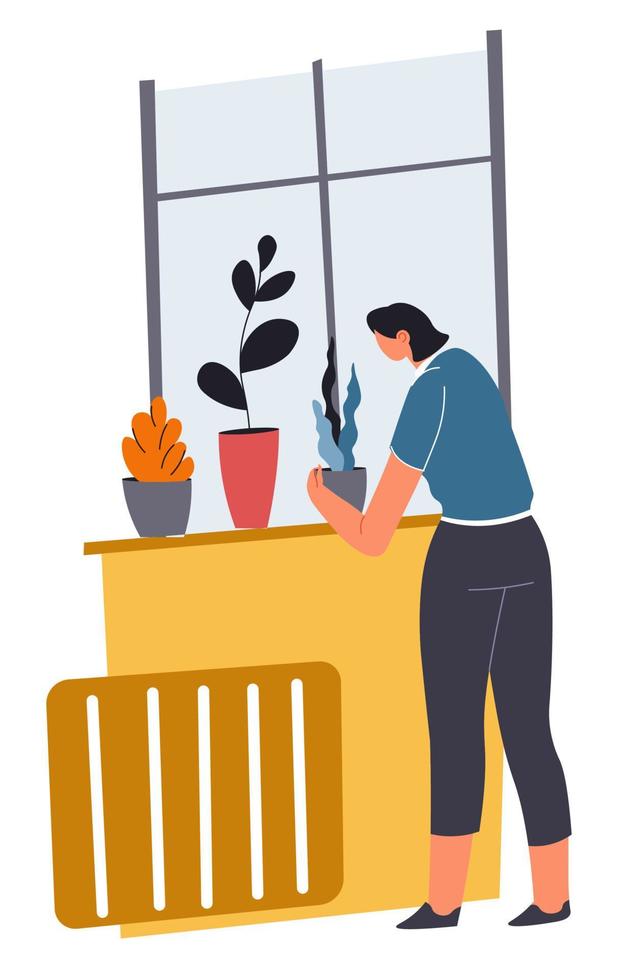 Woman cleaning house caring for plants in pots vector