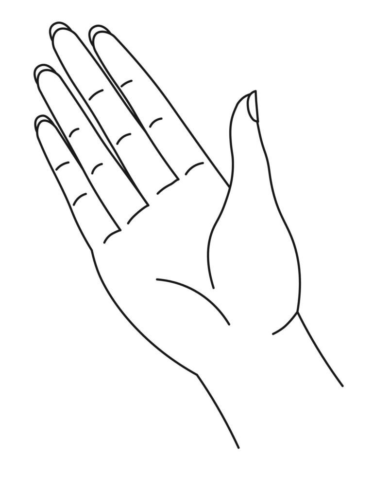 Palm drawn in line art style, hand with fingers vector