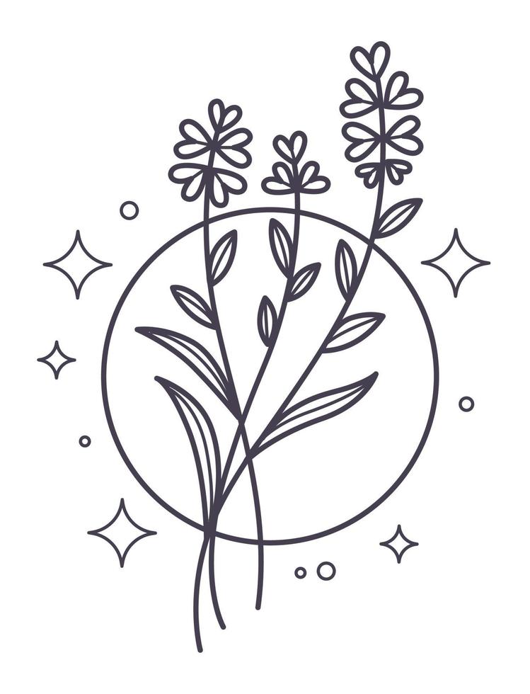 Floral branches with blooming in circle line art vector