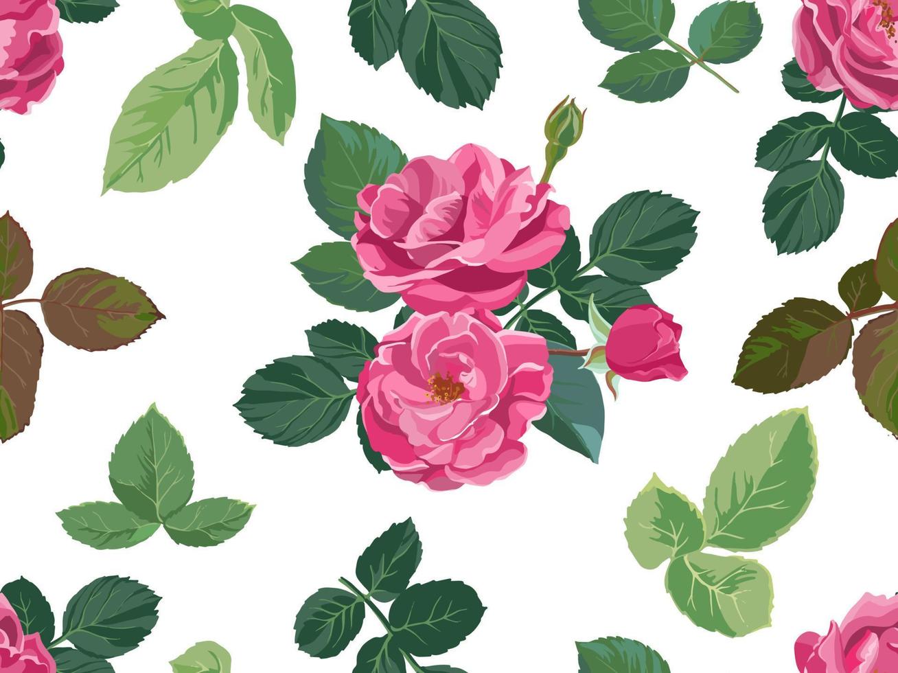 Blooming peonies or roses with buds pattern vector
