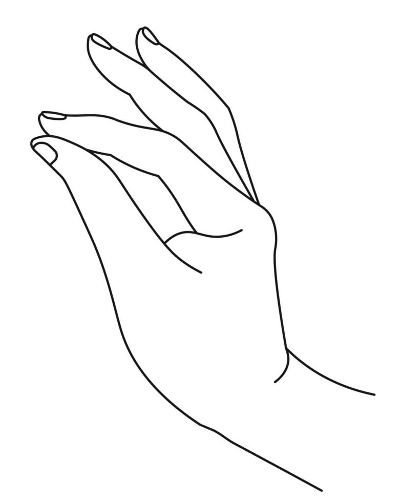 mano elegante con el pulgar y el dedo índice clasping vector