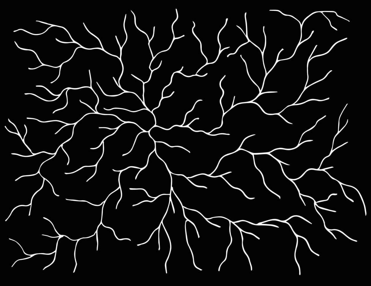 monochrome pattern black and white branches, cracks, natural lines vector