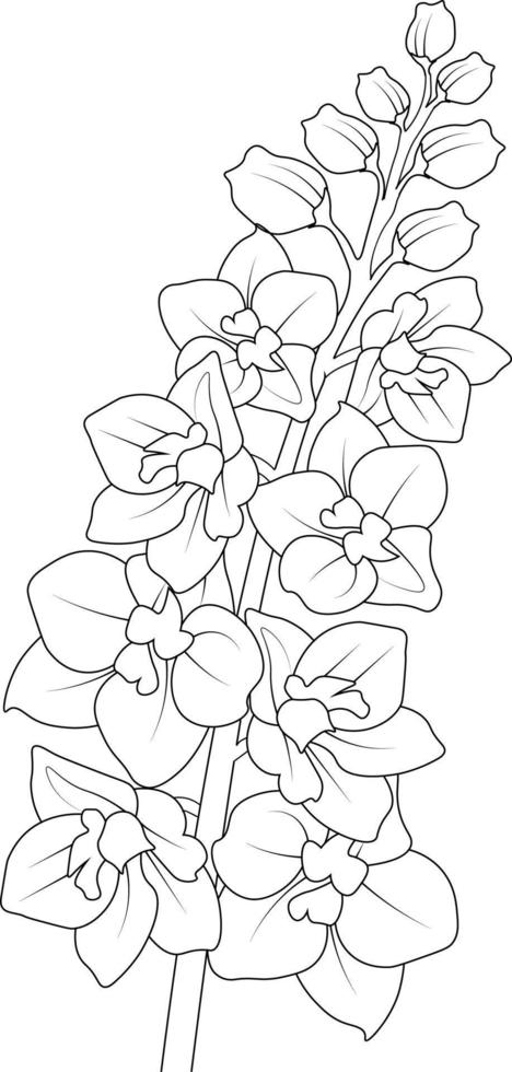 arte de la línea de la flor delphinium, ilustración vectorial, dibujo a lápiz dibujado a mano, libro para colorear y página, aislado en imágenes prediseñadas de fondo blanco. vector