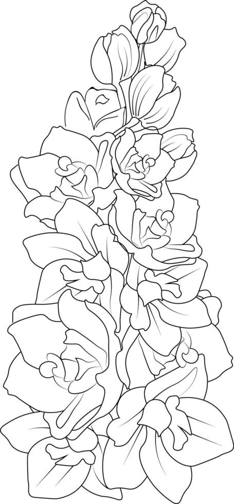 Delphinium, larkspur flower line art, vector illustration, hand-drawn pencil sketch, coloring book, and page, isolated on white background clip art.
