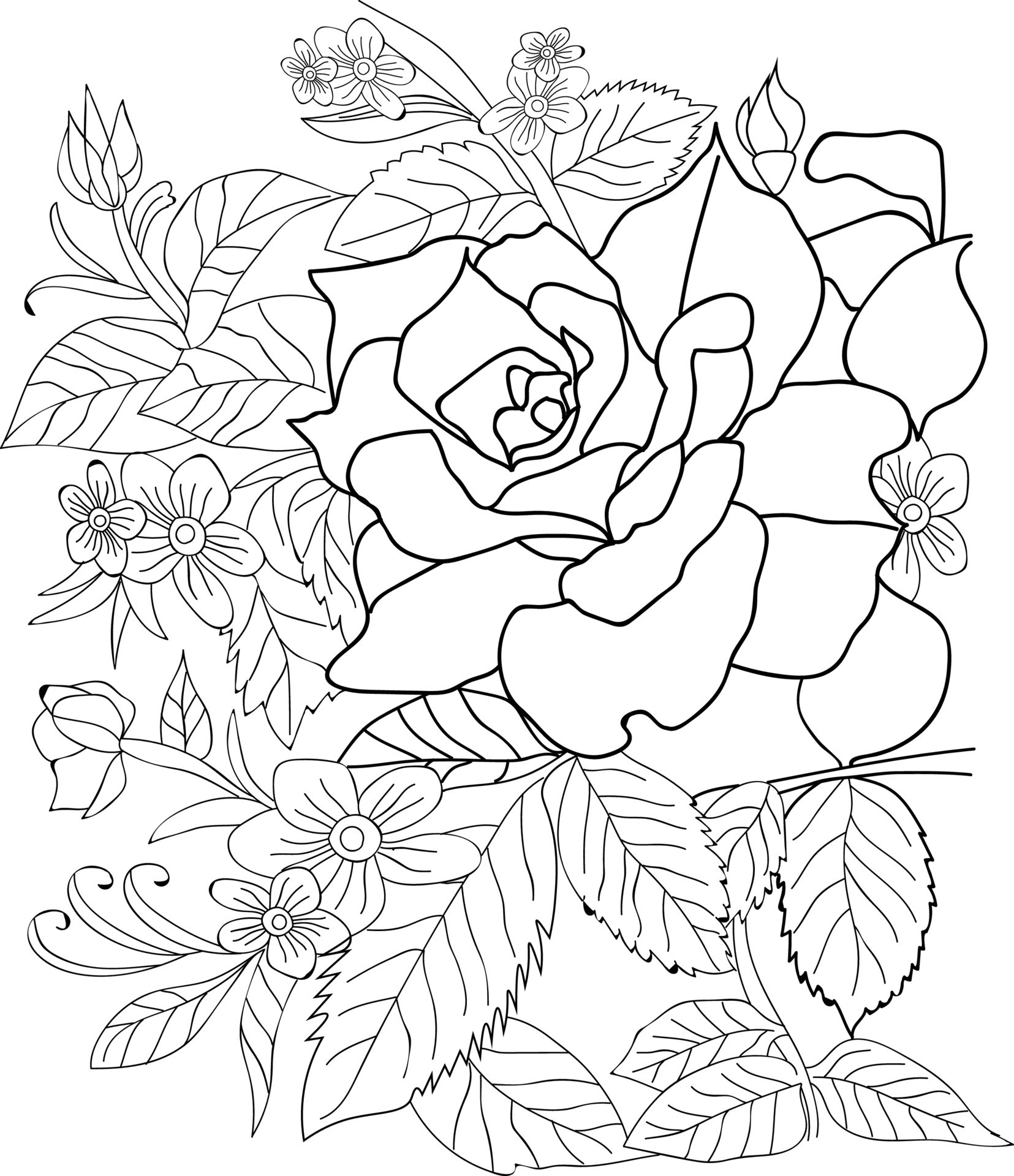 Rose line art, floral vector illustration. vintage engraved style ...