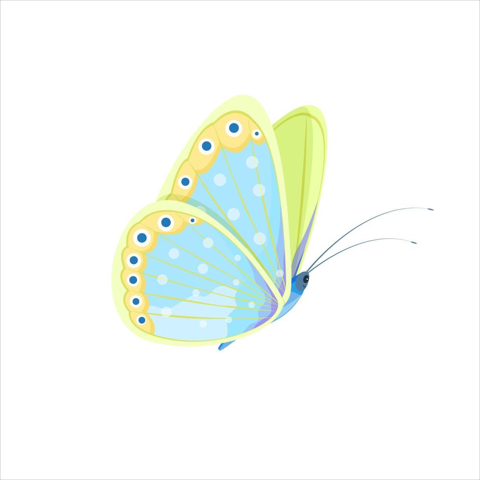 mariposa multicolor, vista lateral, aislada en un fondo blanco, vector