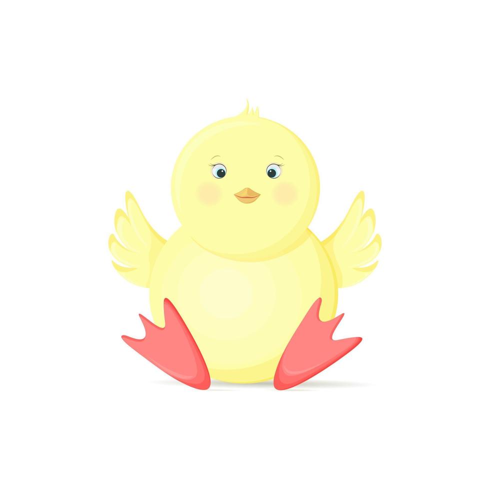 A small, cute, yellow chicken is sitting with its wings raised up. Isolated on a white background vector