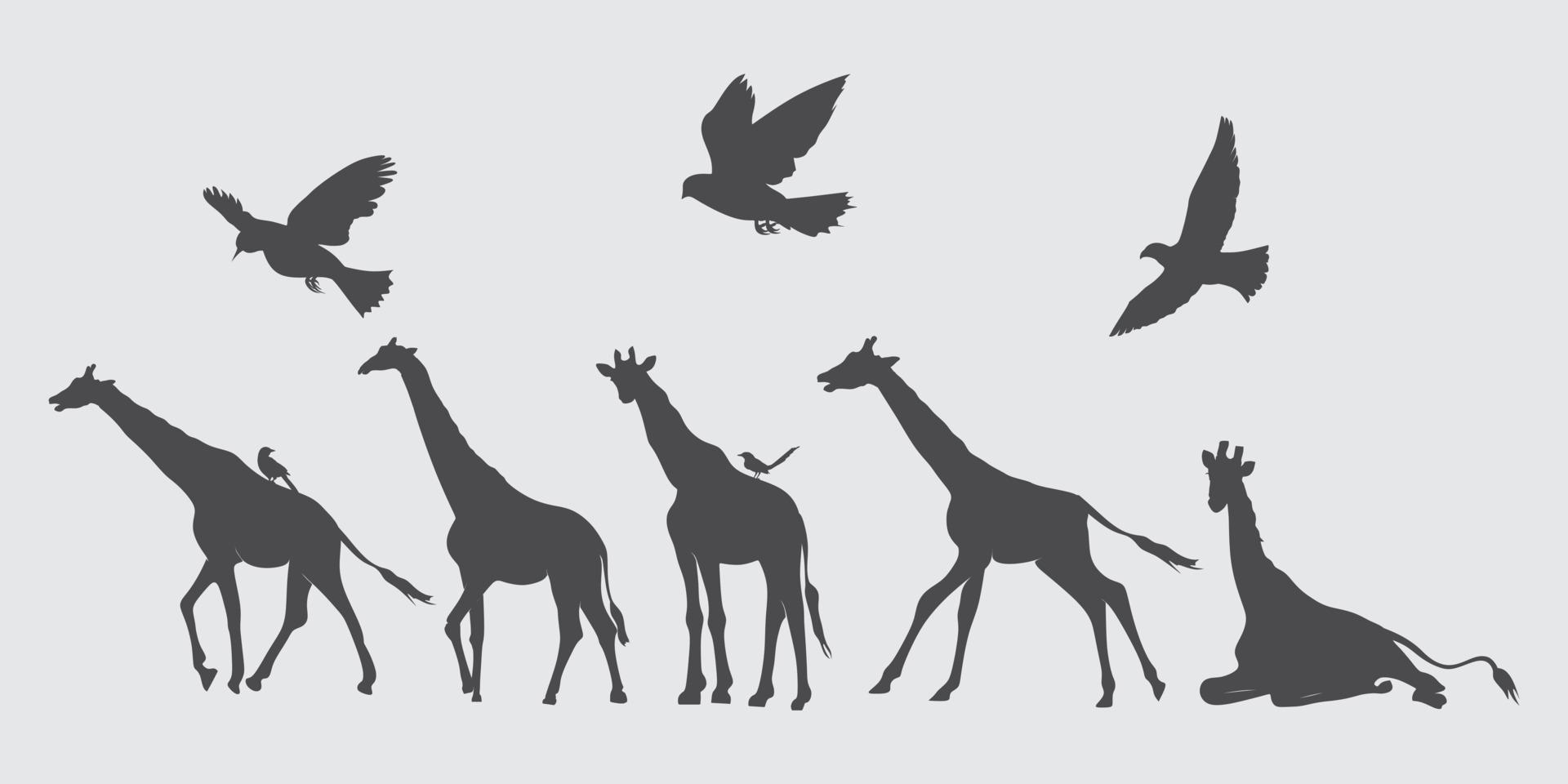 set of giraffe and dove silhouettes. design for illustration elements vector