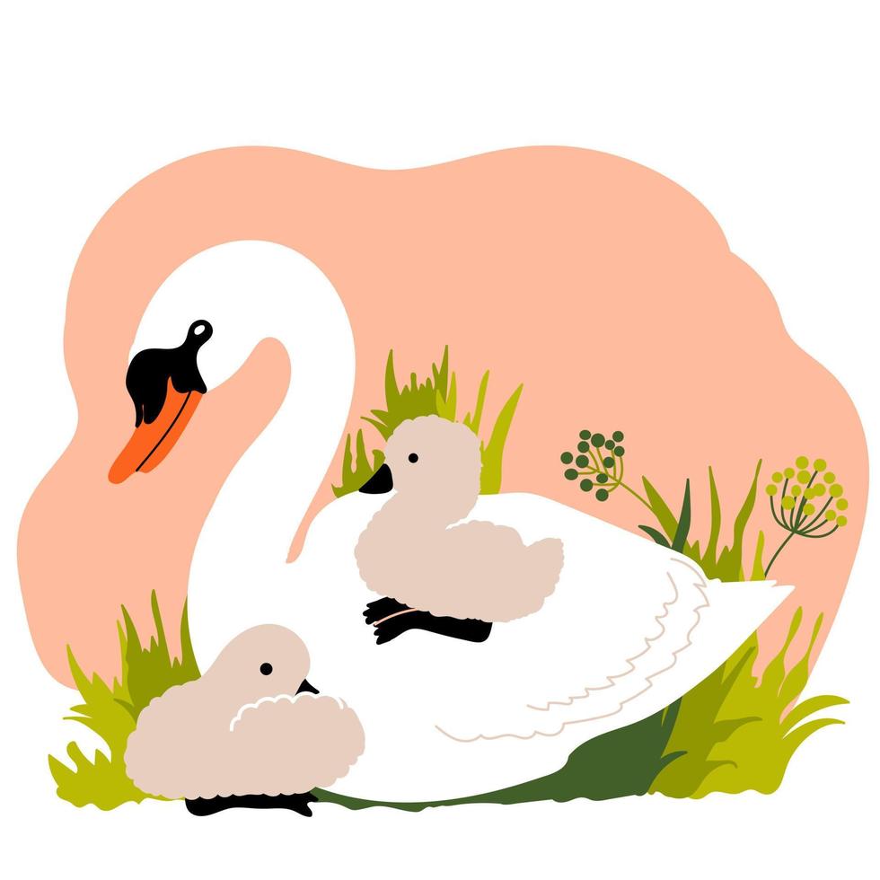 White swan and brood of cygnet sitting on the grass. Wild birds. Vector illustration. Childish print