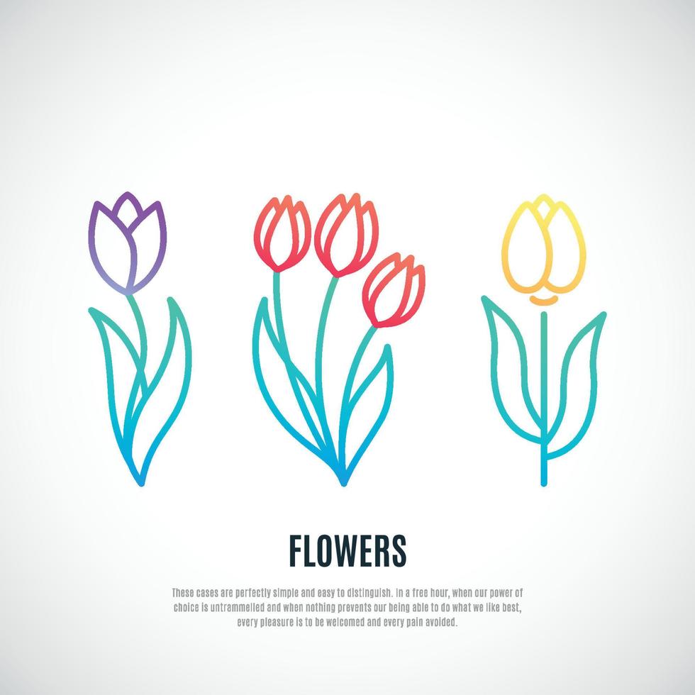 Set of tulips isolated on white background. vector