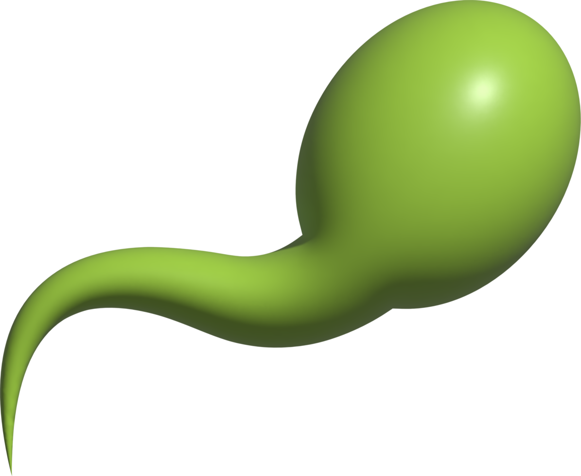 3D-Darstellung von Spermien png