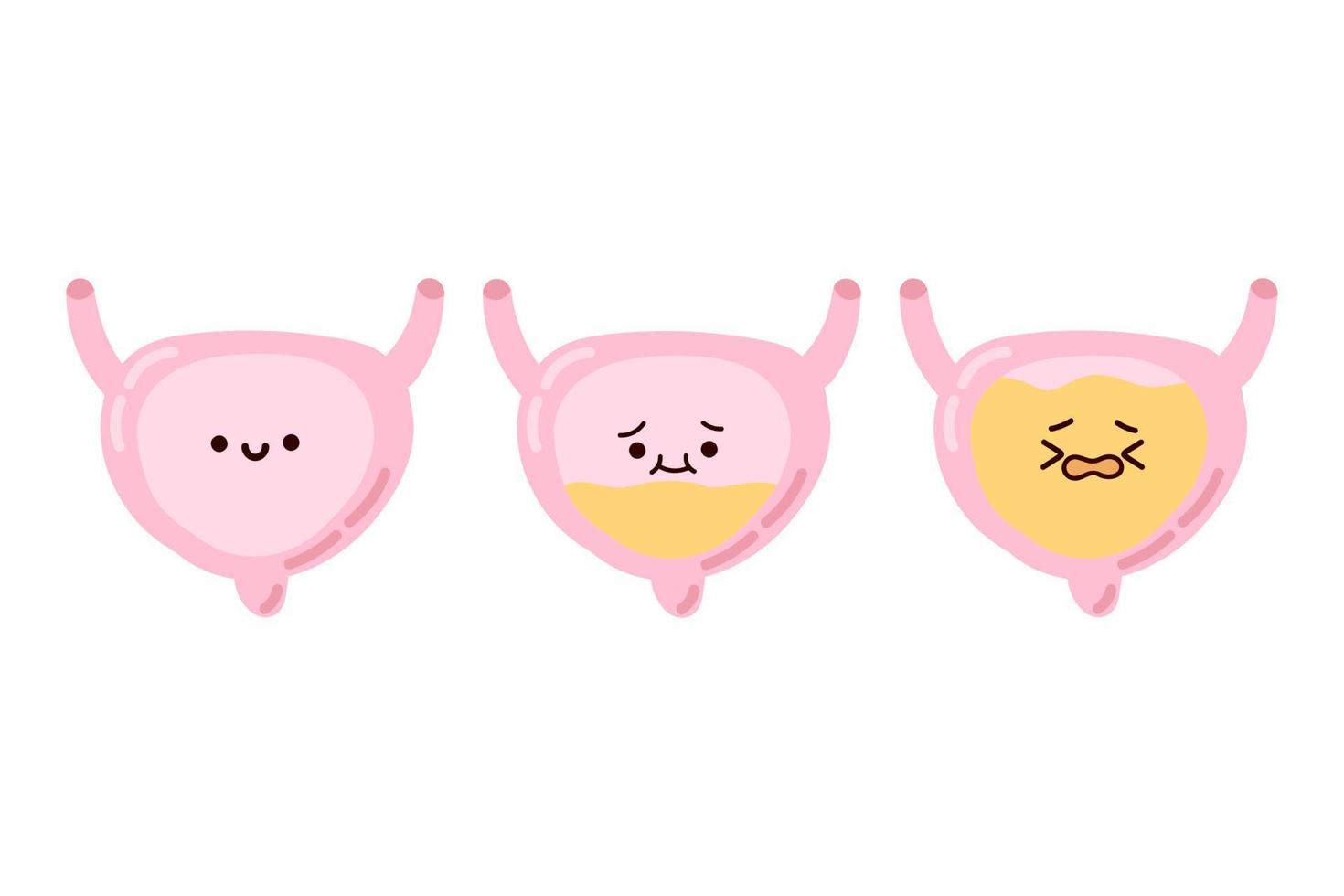 Cheerful empty bladder and sad full bladder. Cute kawaii human organs on a white background. vector