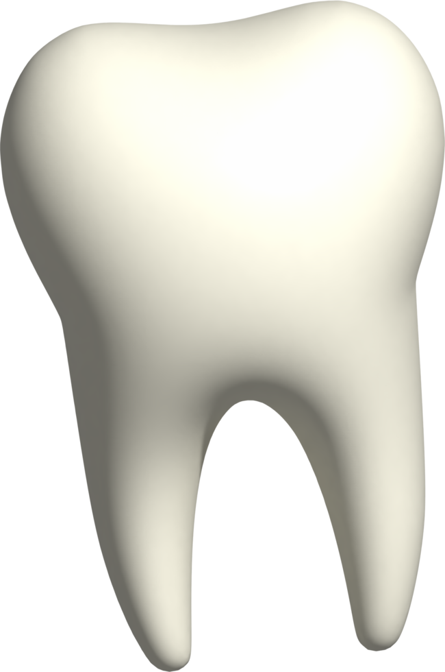 ilustração 3D de dente png