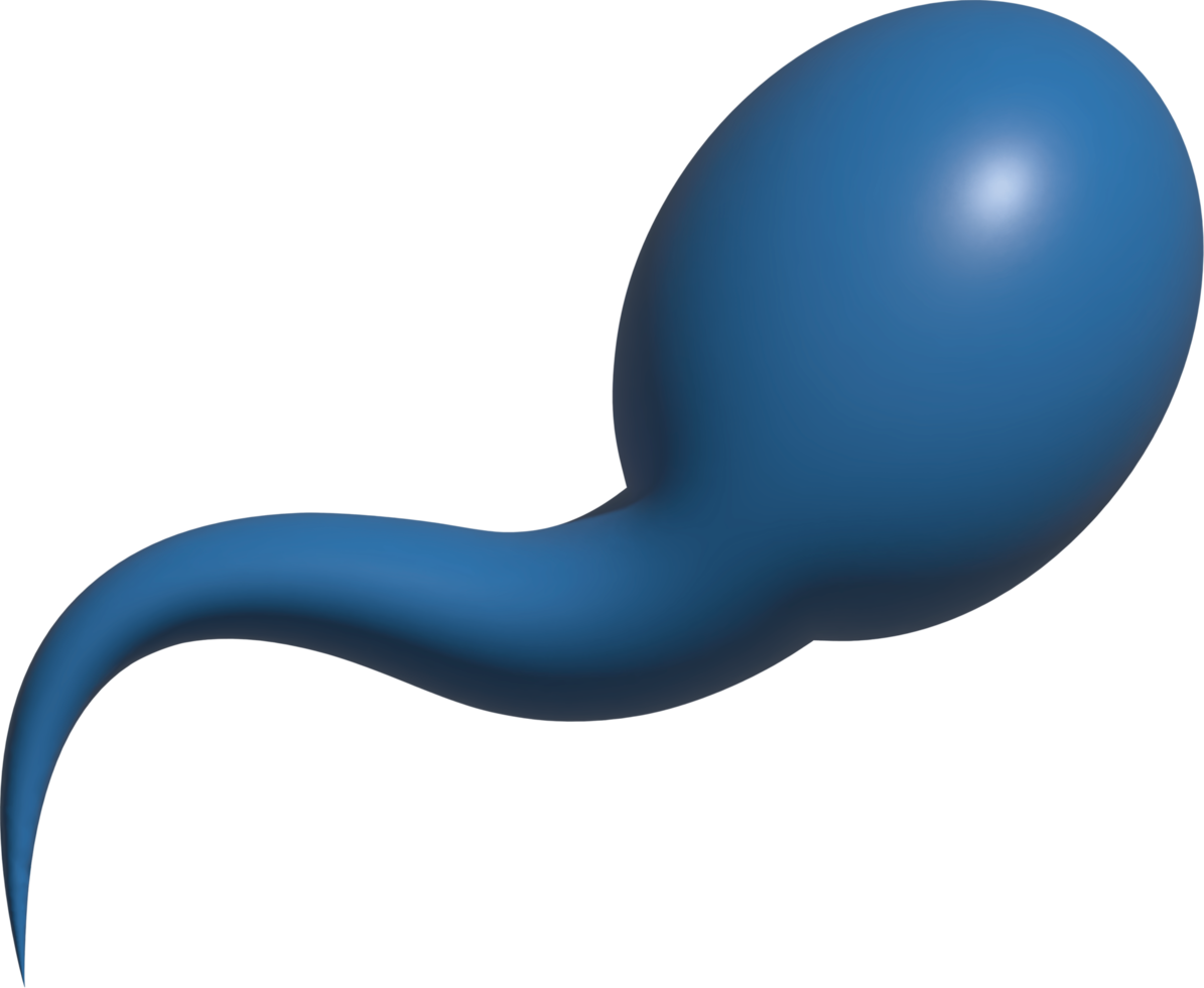 3d illustration of sperm png