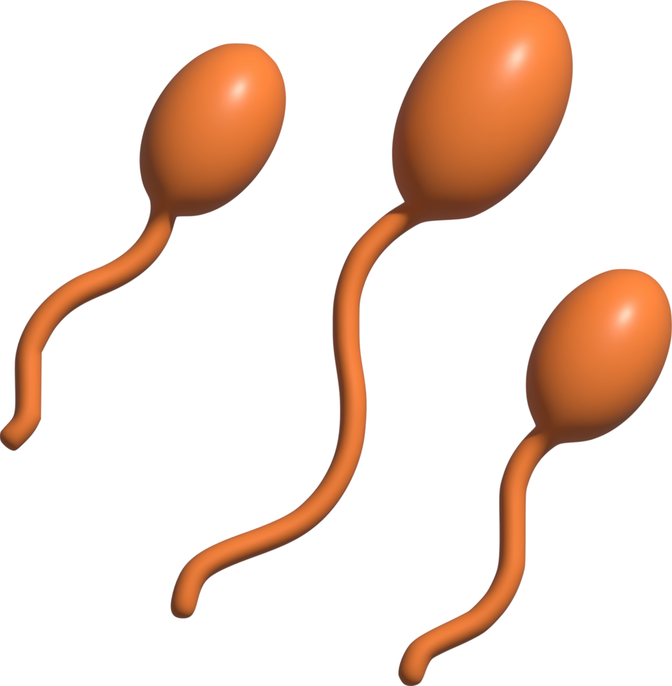 3d illustration of sperm png
