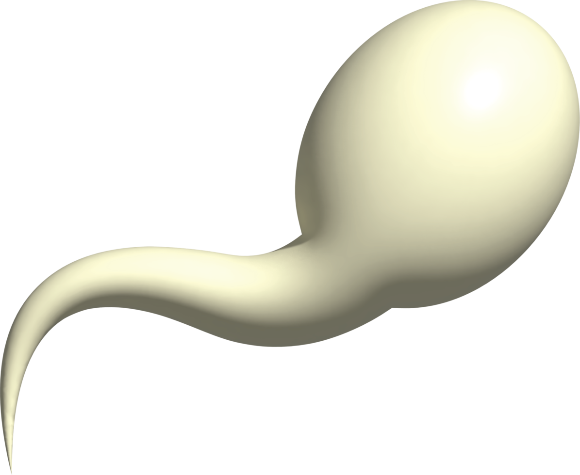 3d illustration of sperm png