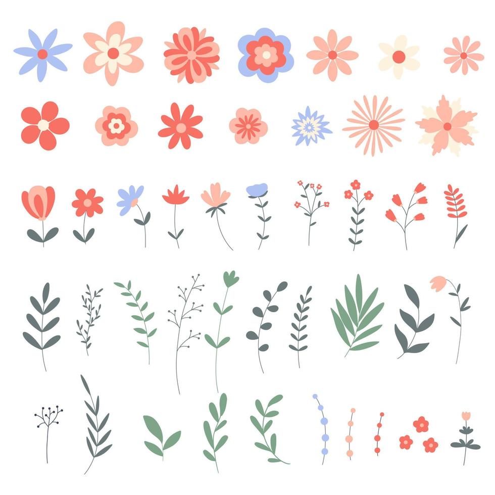 Spring flowering wild flowers and foliage vector