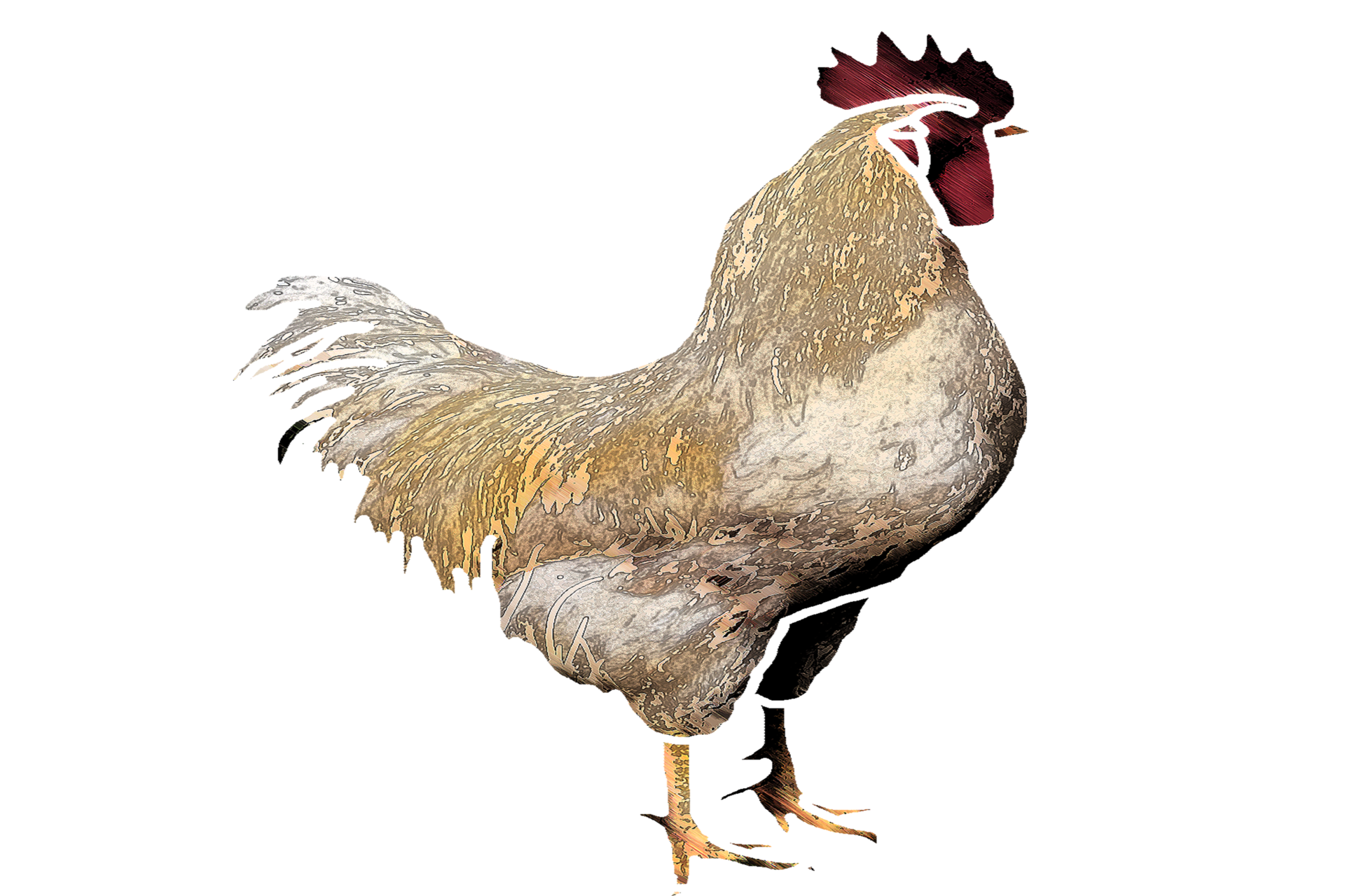 logo of rooster 17891628 PNG