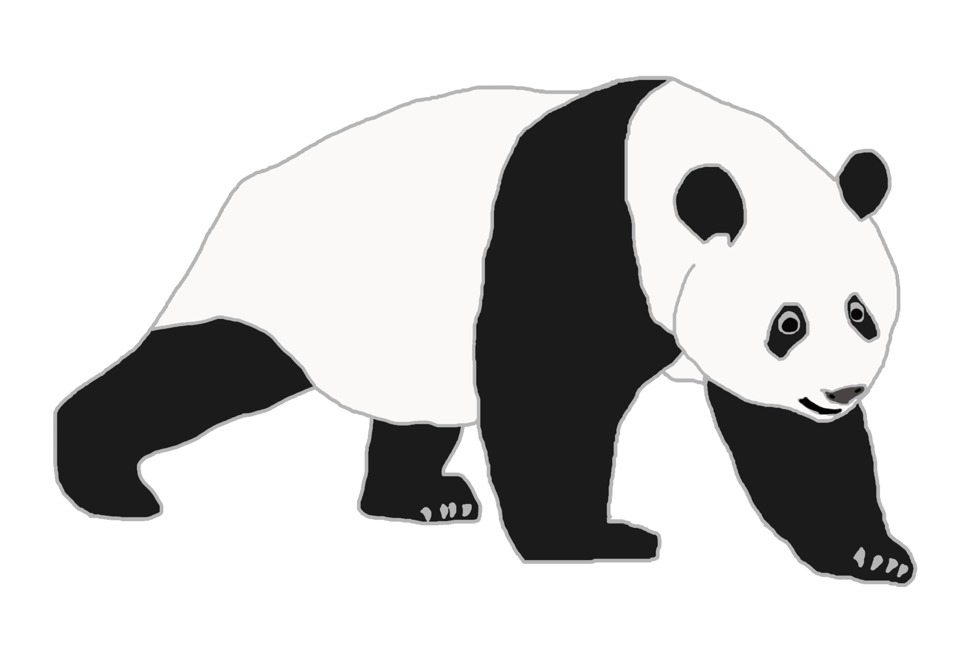 logo illustration graphic of panda 17901580 PNG