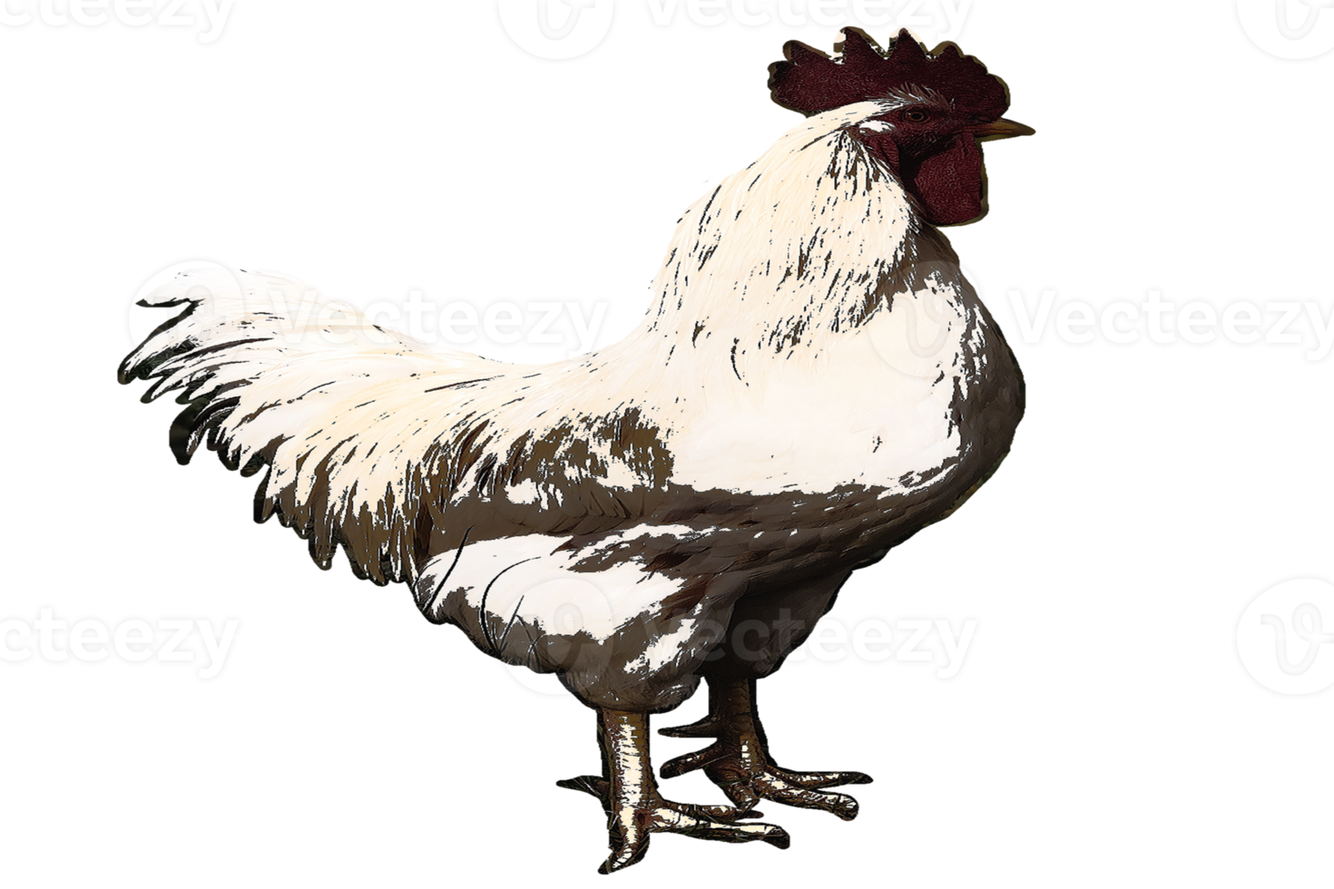 logo di Gallo png