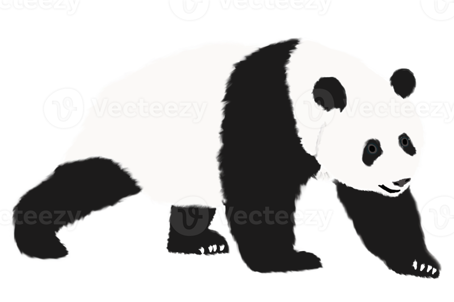 logo illustration graphic of panda png