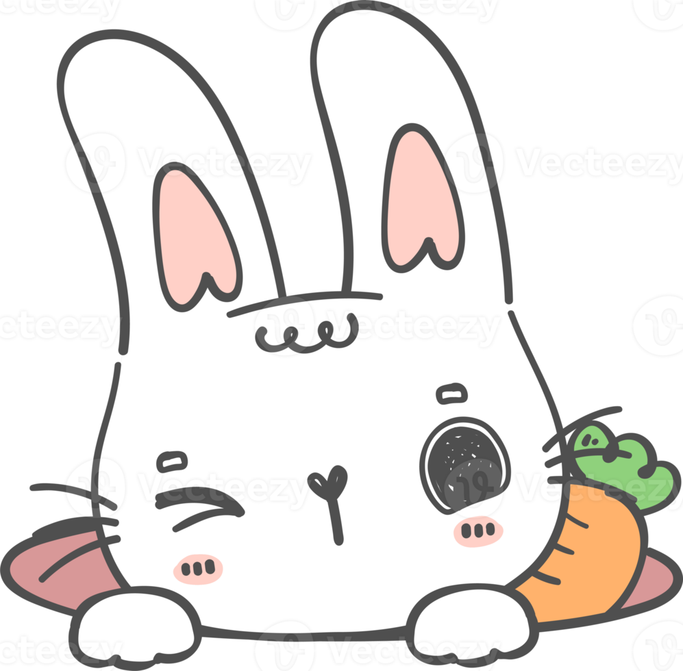 Cute happy smile white bunny rabbit with carrot in hole cartoon doodle animal character hand drawing png