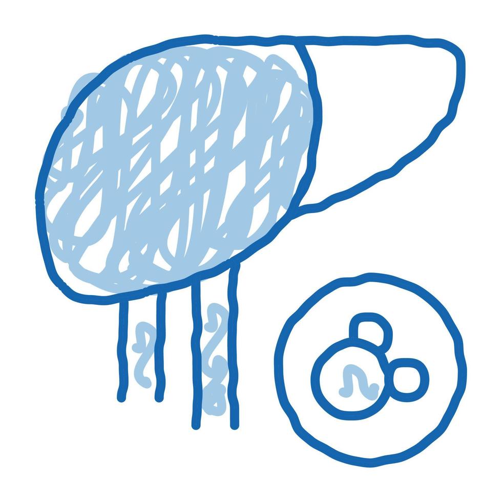 human liver doodle icon hand drawn illustration vector