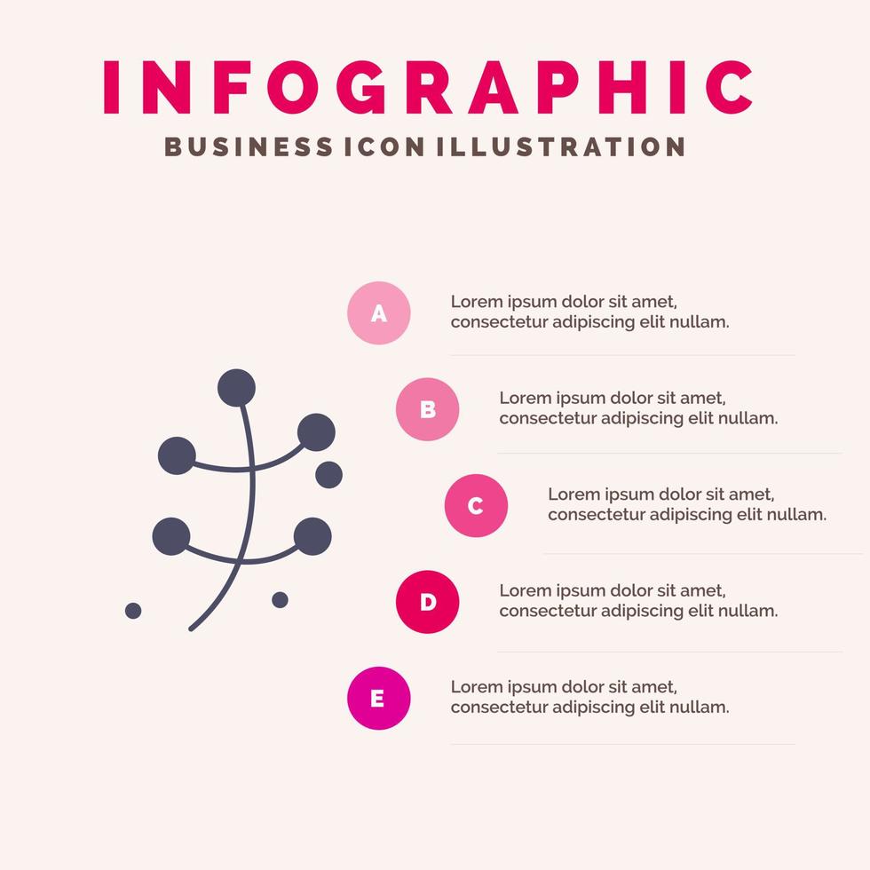 crecimiento hoja planta primavera sólido icono infografía 5 pasos presentación antecedentes vector