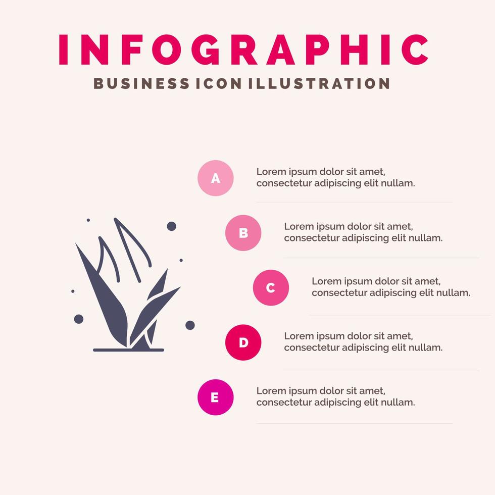 hierba pastos verde primavera sólido icono infografía 5 pasos presentación antecedentes vector